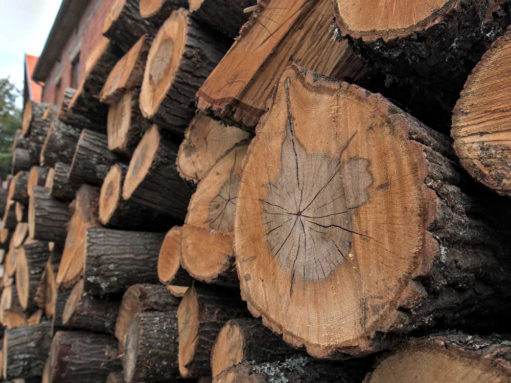Oak Firewood